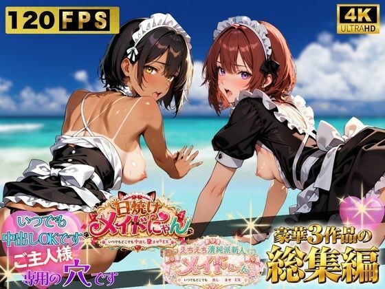 えちえちメイドにゃんシリーズ総集編 〜いつでもどこでも中出し孕ませSEX〜 ご主人様専用の穴です メイン画像