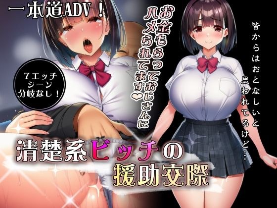 おとなし系ビッチの援◯交際 メイン画像