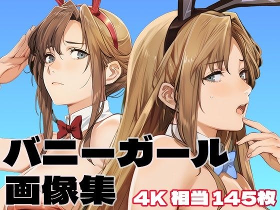バニーガールコレクション メイン画像