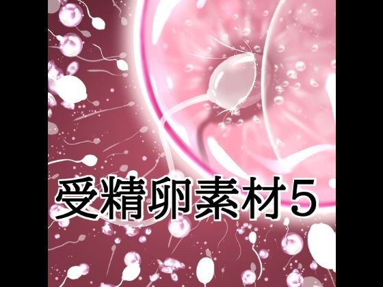 受精卵素材5 メイン画像