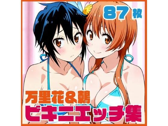 万里花&鶫 お部屋でビキニエッチCG集
