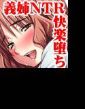 義姉の秘密 メイン画像