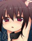 ゆきちゃんの観察記録 メイン画像