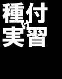 【無料】種付け実習:体験版 メイン画像