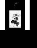 天使たまごの メイン画像