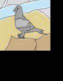 ワンコイン小説 河川敷の鳩に給餌 ほのぼのとした日常の1コマ メイン画像