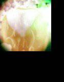 snowberry-mode メイン画像