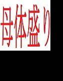 母体盛り メイン画像