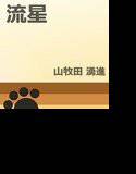 流星 メイン画像