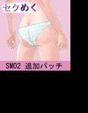 SM02しま柄下着追加パッチ メイン画像