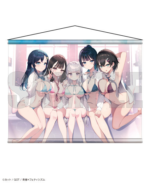 【二次受注】青春×フェティシズム タペストリーコレクション11 カット メイン画像
