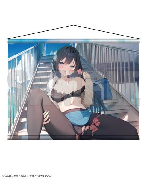【二次受注】青春×フェティシズム タペストリーコレクション27 にじはしそら メイン画像