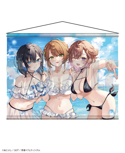 【二次受注】青春×フェティシズム タペストリーコレクション41 ぬこぷし メイン画像