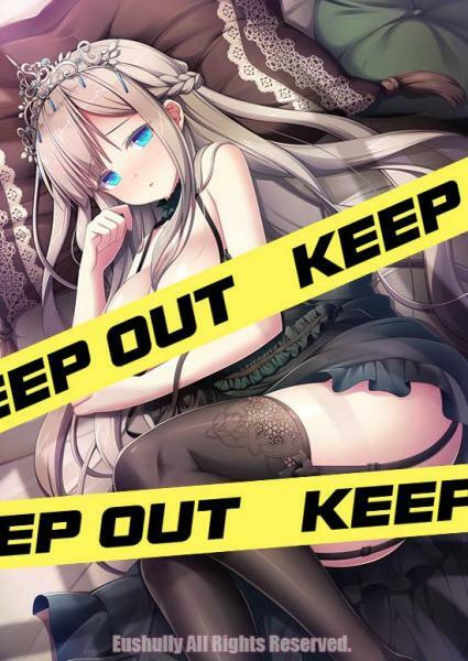 [Official Manufacturer] Special B2 tapestry of "Setea", the kingdom of 100,000,000 orders. メイン画像