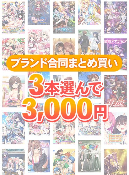 【まとめ買い】ブランド合同！1，900作品以上から3本選んで3，000円セット メイン画像