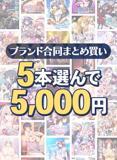 【まとめ買い】1，900作品以上から5本選んで5，000円！冬のブランド合同セット メイン画像