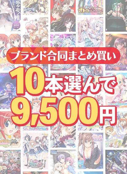 【まとめ買い】1，800作品以上から10本選んで9，500円！冬のブランド合同セット メイン画像