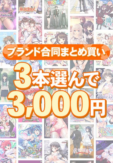 【まとめ買い】1，800作品以上から3本選んで3，000円！ブランド合同セット メイン画像