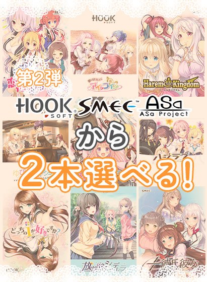 [Bulk purchase] A set where you can choose and buy two from HOOKSOFT/SMEE/ASa Project! 2nd bullet メイン画像