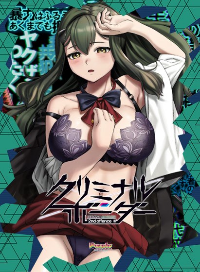 クリミナルボーダー 2nd offence メイン画像