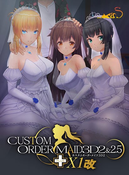 Custom Order Maid 3D2 &amp; 2.5+ X1 Modified
