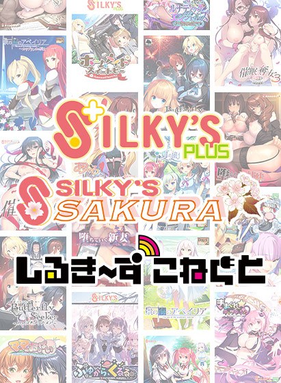 [Bulk purchase] GW definitive edition! 6,000 yen set with 3 pieces of Silpla & Sil SAKU & Shirukone! メイン画像