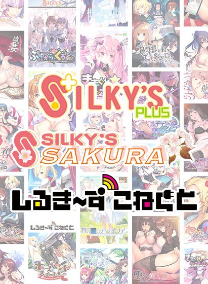 【まとめ買い】年末年始！シルプラ＆シルSAKU＆しるこね3本選んで6，000円セット！ メイン画像