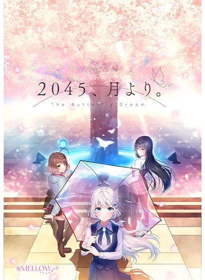 ２０４５、月より。 メイン画像