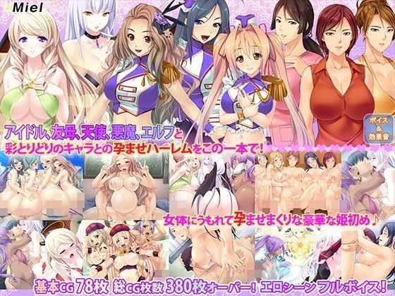 【期間限定】【福袋】ハーレム孕ませ3作セット メイン画像