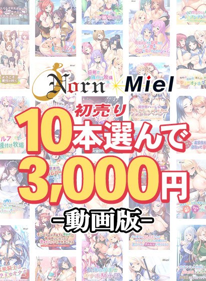 [大量购买] [视频版] 精选10个 Norn/Miel 初销3,000日元！ メイン画像