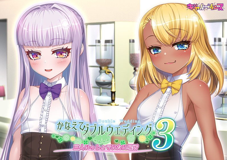 Double Wedding 3: A place where the three of us want to be together メイン画像