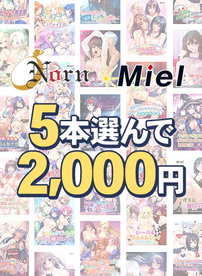 【まとめ買い】Norn/Miel お得な2026年初売り5本選んで2，000円