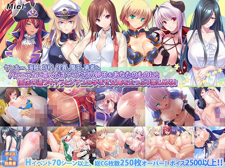 【期間限定】【新春福袋】色んなキャラに種付けしたい！お得な孕ませ詰め合わせ福袋！