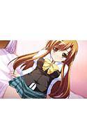 カスタムレイド4 VIEWS特典CD付 メイン画像