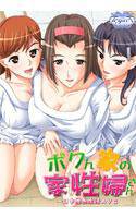 ボクん家の家性婦さん メイン画像