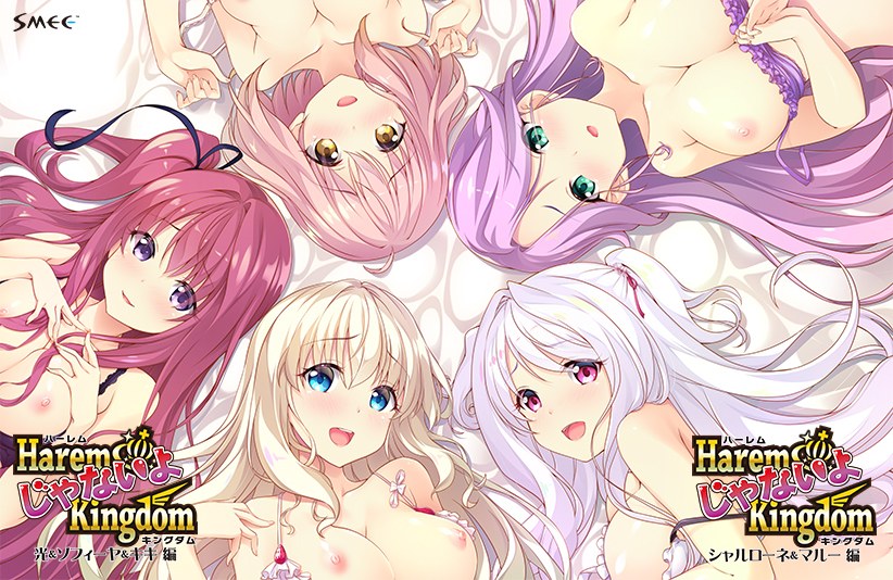 HaremじゃないよKingdom アフターストーリーセット メイン画像