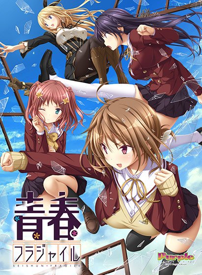 青春フラジャイル メイン画像