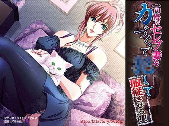 高慢なセレブ妻を力づくで●して服従させる！！ ムービー版 メイン画像