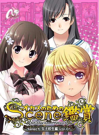 おかずのためのシーン鑑賞 女子校生編Vol.1 メイン画像