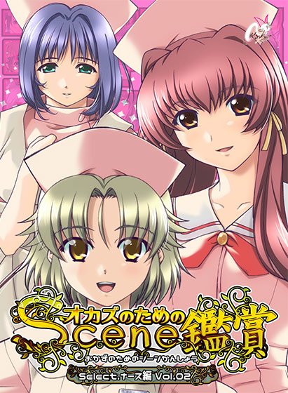 おかずのためのシーン鑑賞 ナース編Vol.2 メイン画像