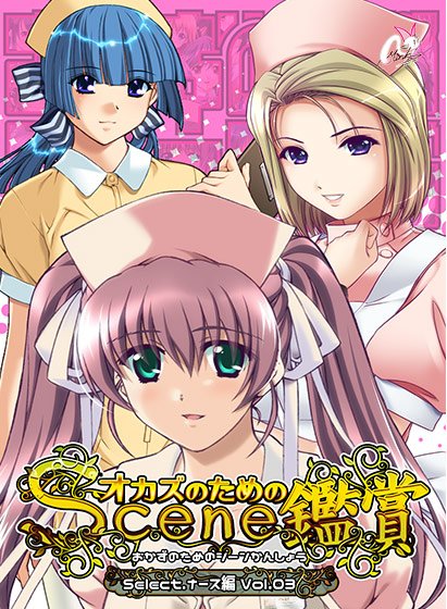 おかずのためのシーン鑑賞 ナース編Vol.3 メイン画像