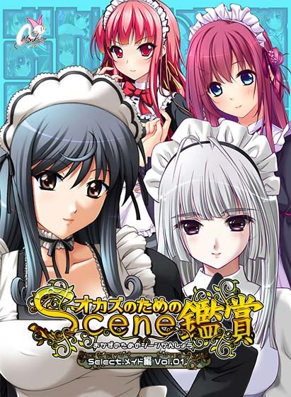 おかずのためのシーン鑑賞 メイド編Vol.1 メイン画像
