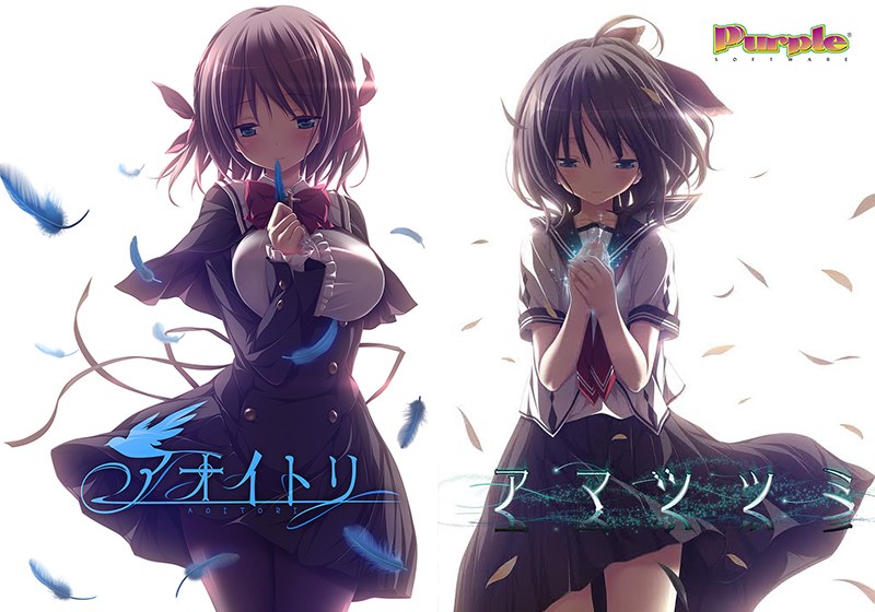 【期間限定】アマツツミ＋アオイトリセット メイン画像