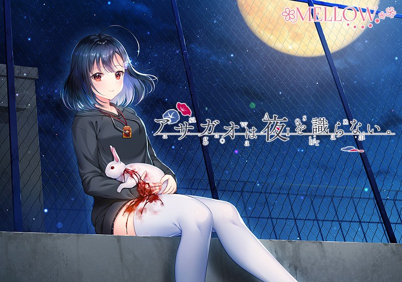 アサガオは夜を識らない。 メイン画像