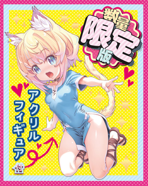 ウチのソシャゲに猫耳が実装されましたTHE HOLE 数量限定版 メイン画像