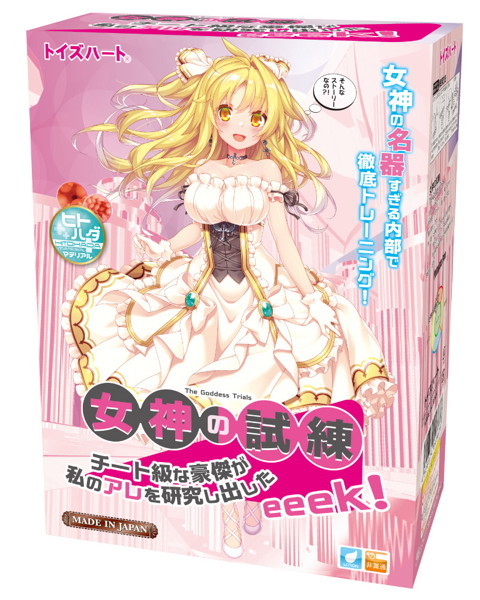 女神の試練 メイン画像
