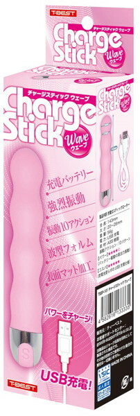チャージスティック ウェーブ メイン画像