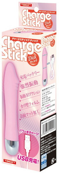 チャージスティック ディック メイン画像